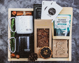 A New Adventure - DUSKY LARK