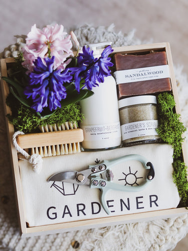 Gardener's gift set with plants, tools, and a sign in a wooden box.